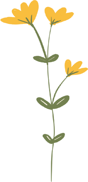Yellow flower